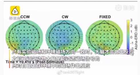 第六感首次被证实什么情况:人为什么会有第六感? 第六感首次被证实什么情况:人为什么会有第六感?