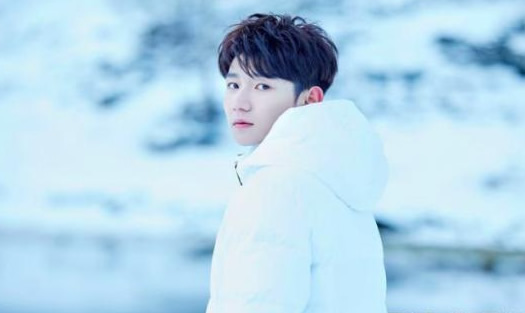 王源否认走后门什么情况：王源被走后门始末详情真相