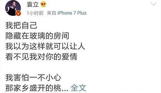 袁立婚房疑曝光：揭袁立婚房什么样子照片