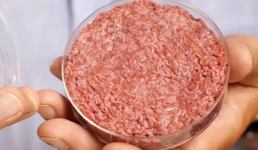 人造肉汉堡来了:关于人造肉汉堡知识详解 人造肉汉堡来了:关于人造肉汉堡知识详解