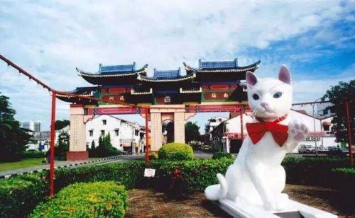 世界六大赏猫景点什么情况：寻猫之旅这些景点不容错过