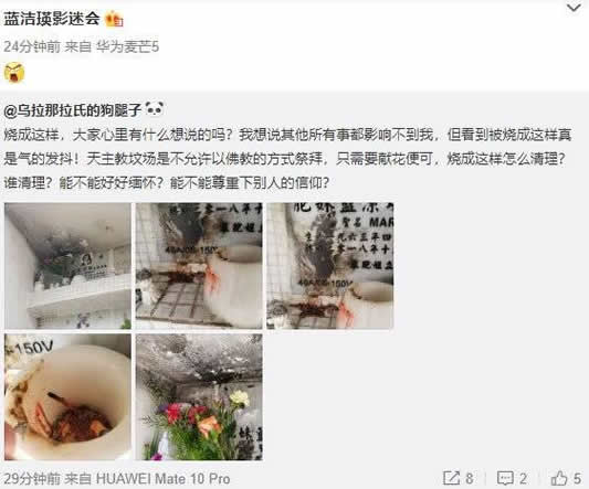 蓝洁瑛墓碑被熏黑画面：详情始末曝光令人心痛