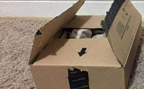 快递员私开包裹详情始末曝光:行为细思极恐(图) 快递员私开包裹详情始末曝光:行为细思极恐(图)
