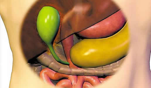 胆囊炎不能吃的9种食物：胆囊炎吃什么好及引起因素