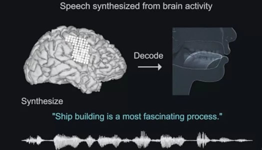 读心术有望成真：这到底是个什么梗？