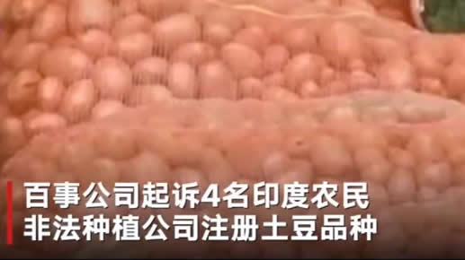 农民种土豆侵权是怎么回事:种土豆侵权原因详情始末 农民种土豆侵权是怎么回事:种土豆侵权原因详情始末