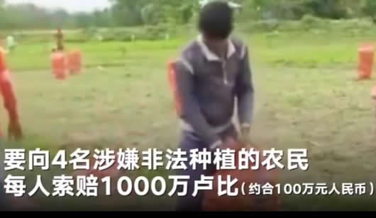 农民种土豆侵权是怎么回事:种土豆侵权原因详情始末 农民种土豆侵权是怎么回事:种土豆侵权原因详情始末