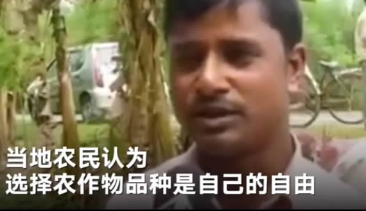 农民种土豆侵权是怎么回事:种土豆侵权原因详情始末 农民种土豆侵权是怎么回事:种土豆侵权原因详情始末