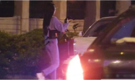 李亚鹏新女友身价什么情况：李亚鹏新女友身份是谁