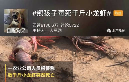 熊孩子毒死小龙虾怎么回事:原因详情始末令人心疼 熊孩子毒死小龙虾怎么回事:原因详情始末令人心疼