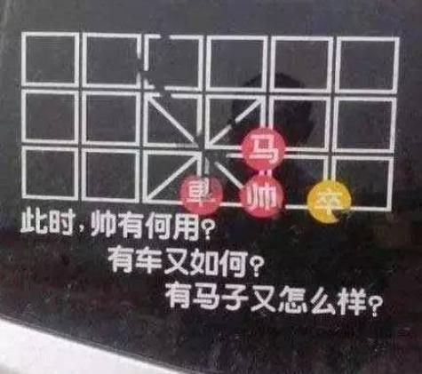 贴追尾必嫁被撞是个什么梗：真相结果尴尬了