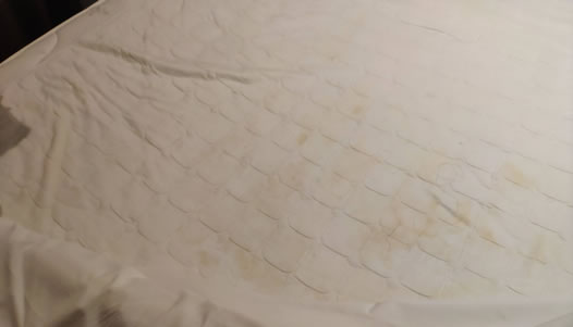 如家床单大片毛发:大片尿迹及曲卷毛发你敢睡吗 如家床单大片毛发:大片尿迹及曲卷毛发你敢睡吗