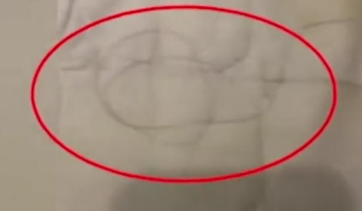 如家床单大片毛发:大片尿迹及曲卷毛发你敢睡吗 如家床单大片毛发:大片尿迹及曲卷毛发你敢睡吗