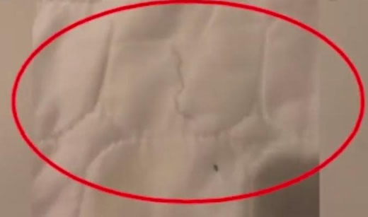 如家床单大片毛发:大片尿迹及曲卷毛发你敢睡吗 如家床单大片毛发:大片尿迹及曲卷毛发你敢睡吗