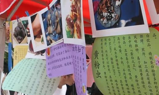 高校办昆虫美食节有10多种:颜色鲜艳你敢尝鲜吗 高校办昆虫美食节有10多种:颜色鲜艳你敢尝鲜吗