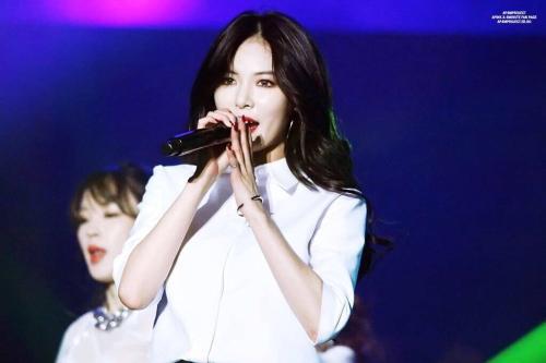 女星金泫雅为什么叫马儿:泫雅小野马的称号怎么来的 女星金泫雅为什么叫马儿:泫雅小野马的称号怎么来的