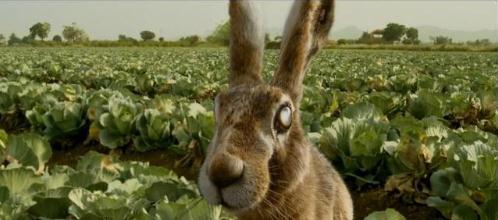 调音师解析：调音师剧情和结局解析（什么是真相）