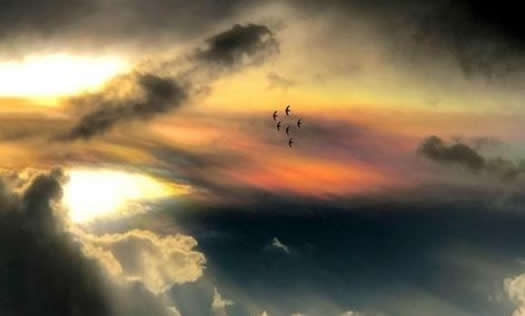 南宁七彩祥云是怎么回事:不是童话这画面确实罕见 南宁七彩祥云是怎么回事:不是童话这画面确实罕见