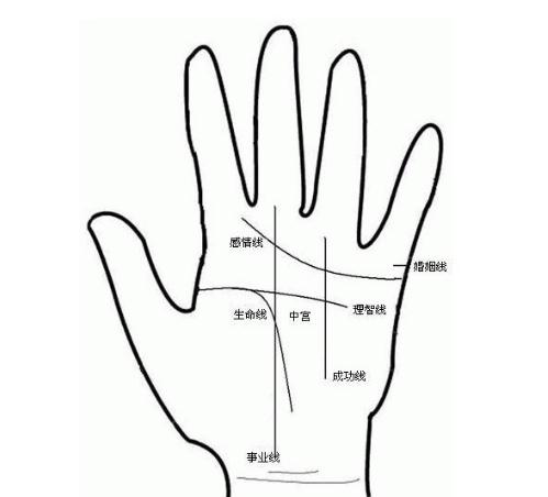 教你怎么看手相：简单看手纹知健康