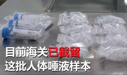 私带唾液入境被拦:183支人体唾液样本到底怎么回事 私带唾液入境被拦:183支人体唾液样本到底怎么回事
