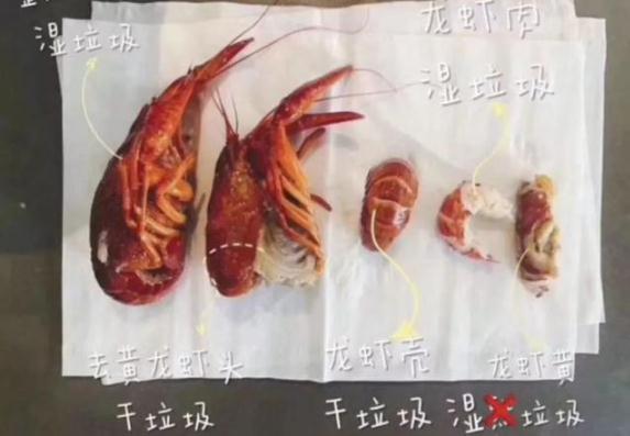 垃圾桶卖疯被限购:垃圾桶爆仓是什么垃圾令人头痛 垃圾桶卖疯被限购:垃圾桶爆仓是什么垃圾令人头痛