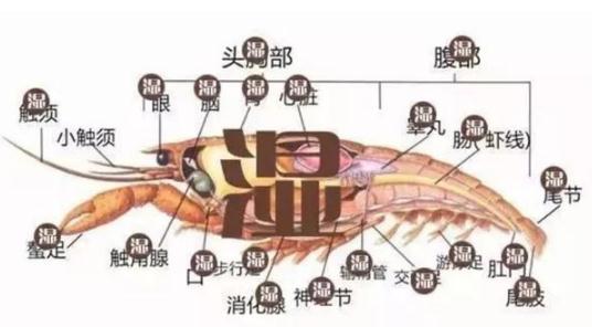 垃圾桶卖疯被限购:垃圾桶爆仓是什么垃圾令人头痛 垃圾桶卖疯被限购:垃圾桶爆仓是什么垃圾令人头痛