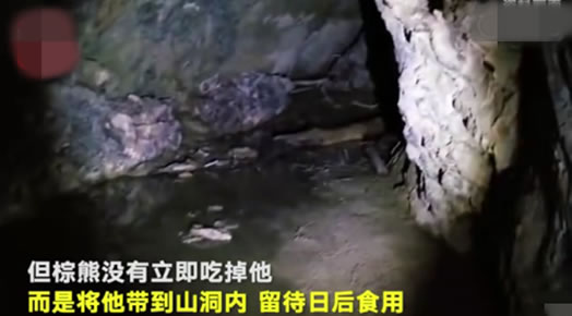 男子被熊拖进洞穴什么情况:始末经过曝光令众人意料 男子被熊拖进洞穴什么情况:始末经过曝光令众人意料