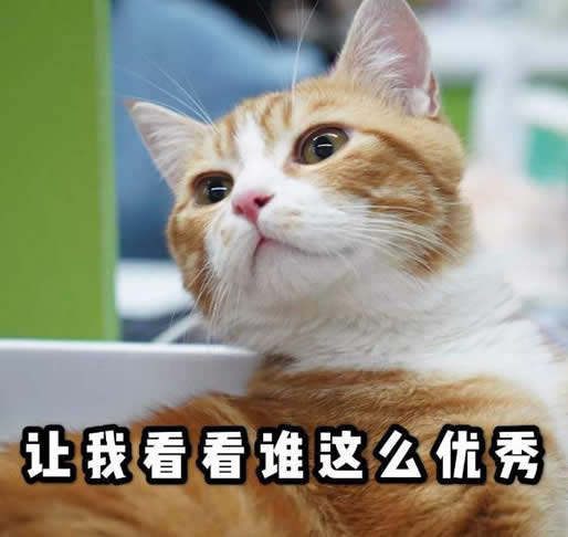 撸猫缓解老年痴呆是真的吗：这到底是怎么回事