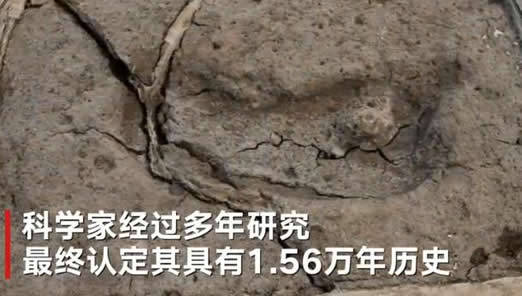 最古老人类脚印怎么回事:古老脚印具体什么时候的 最古老人类脚印怎么回事:古老脚印具体什么时候的