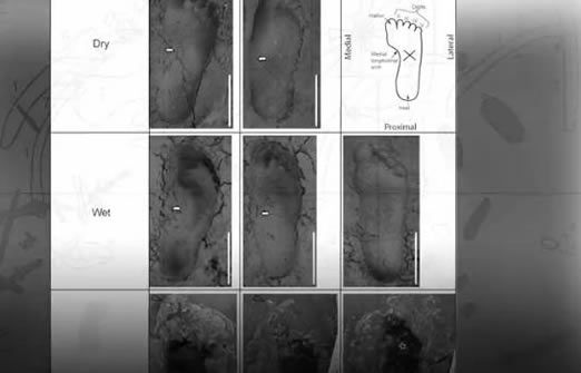 最古老人类脚印怎么回事:古老脚印具体什么时候的 最古老人类脚印怎么回事:古老脚印具体什么时候的