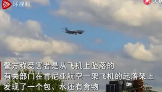 飞机上掉落一人:这到底是怎么回事 飞机上掉落一人:这到底是怎么回事