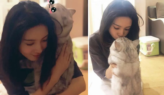 工作室否认陈瑶恋情：陈瑶否认和谁的恋情事件始末