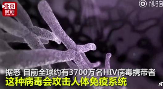 基因编辑清除HIV:艾滋病患者的曙光2020可临床试验 基因编辑清除HIV:艾滋病患者的曙光2020可临床试验