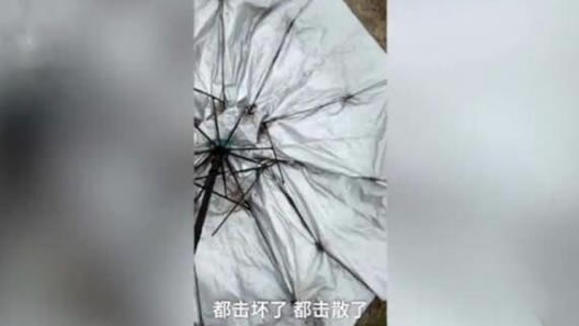 撑伞打电话遭雷击怎么回事：遭雷击和打电话有关系吗