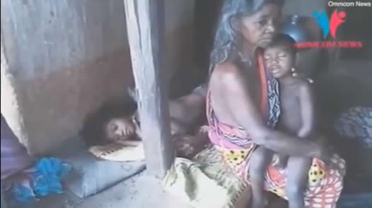 7岁女孩熟睡中被大象拽走：关于大象的危险你知道吗