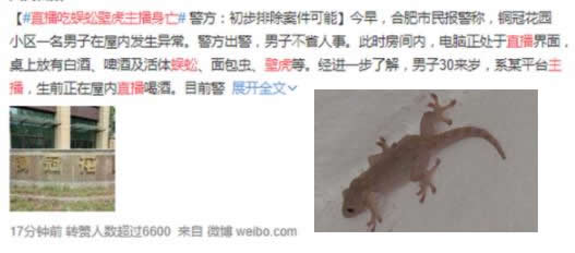 男主播吃壁虎身亡:这到底是怎么回事? 男主播吃壁虎身亡:这到底是怎么回事?