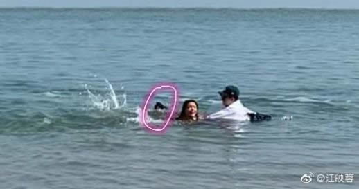 江映蓉拍MV险出事:惊魂画面揭到底是怎么回事 江映蓉拍MV险出事:惊魂画面揭到底是怎么回事