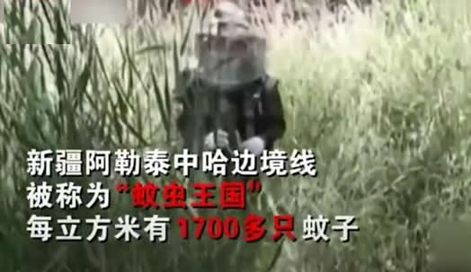 被1000只蚊子围绕怎么回事:你体验过吗详情始末 被1000只蚊子围绕怎么回事:你体验过吗详情始末