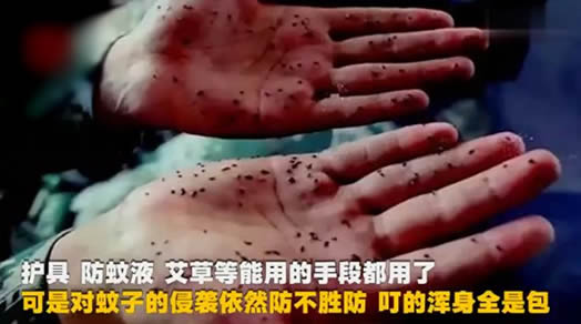 被1000只蚊子围绕怎么回事:你体验过吗详情始末 被1000只蚊子围绕怎么回事:你体验过吗详情始末