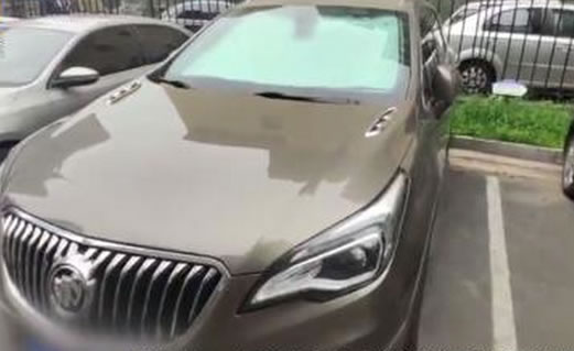 瓜子上买到命案车怎么回事：真相始末详情及结果