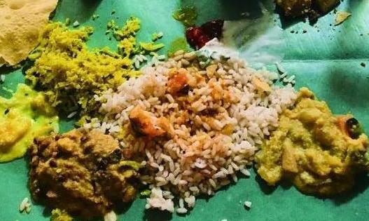 老汉用死蜥蜴碰瓷怎么回事:还原事发经过始末真相 老汉用死蜥蜴碰瓷怎么回事:还原事发经过始末真相