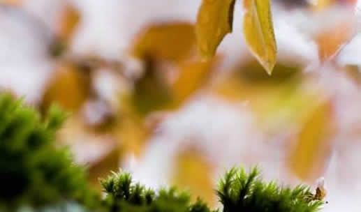 好看的短篇言情小说:精选8部短篇小说虽虐心但巨好看 好看的短篇言情小说:精选8部短篇小说虽虐心但巨好看