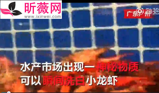 洁厕液洗小龙虾是怎么回事:用洁厕液洗小龙虾始末真相 洁厕液洗小龙虾是怎么回事:用洁厕液洗小龙虾始末真相