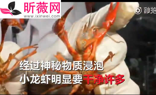 洁厕液洗小龙虾是怎么回事:用洁厕液洗小龙虾始末真相 洁厕液洗小龙虾是怎么回事:用洁厕液洗小龙虾始末真相