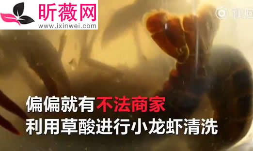 洁厕液洗小龙虾是怎么回事:用洁厕液洗小龙虾始末真相 洁厕液洗小龙虾是怎么回事:用洁厕液洗小龙虾始末真相