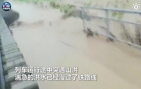 司机15秒救800人怎么回事：还原事件经过始末过程