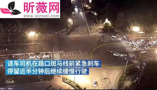 司机在车流中遛狗怎么回事：具体是什么操作详情经过