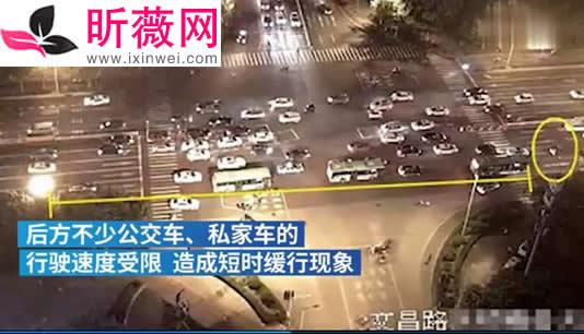 司机在车流中遛狗怎么回事：具体是什么操作详情经过