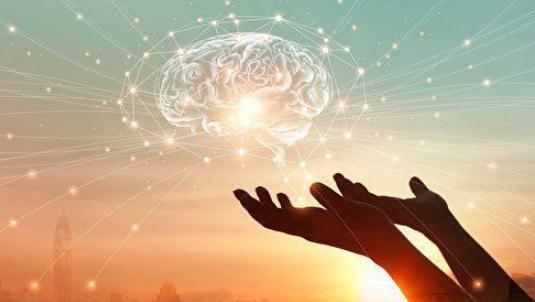 模拟人脑项目失败怎么回事：关于大脑的大脑十个特点