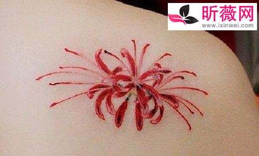 彼岸花纹身的禁忌有哪些:能直接纹在身上吗 彼岸花纹身的禁忌有哪些:能直接纹在身上吗